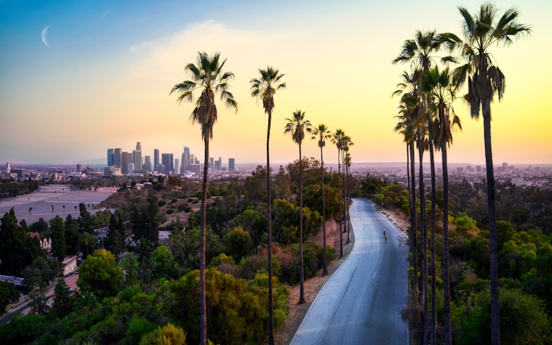 Downtown Los Angeles skyline at sunset with palm trees in the foreground